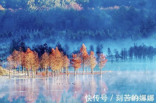 桑麻@七绝云(新韵)两首