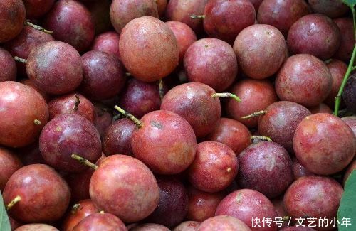 聪明人爱吃3种食物,降压减脂,滋养润肤,好吃又不贵
