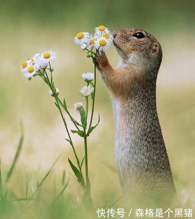 |能解闷的经典搞笑段子,一句够笑一天,越看越开心