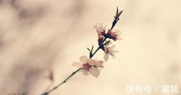 采薇@《采薇》为什么这么多年来经久不衰?它把生命的起承转合说尽了!