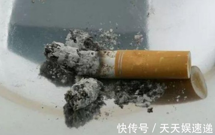 风油精风油精|养花老生虫盆里放一物,没有一个虫,枝繁叶茂、开花多!