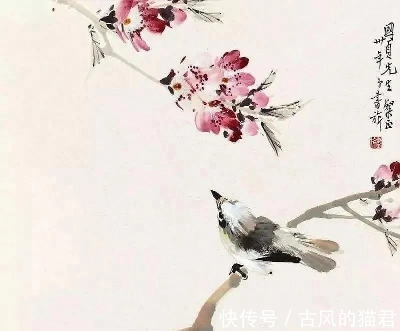 花鸟画!独特的魅力|张书旂花鸟画