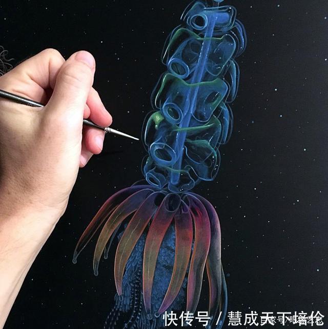 感恩|博齐奇的自然幻境异想天开的科学艺术,感恩生命的生物美学