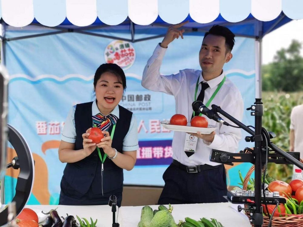 张关|渝北“夏日‘番’华·‘蔬’香洛碛”第四届番茄文化节7月9日开幕，等您来嗨