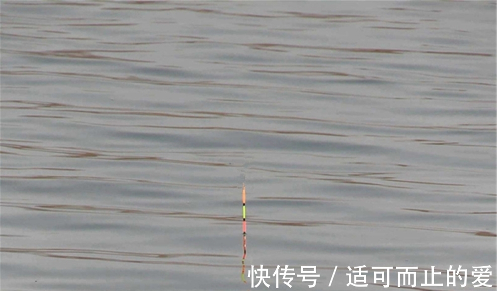 调漂方法大全:图解空钩调漂,简单只有四步,这是钓鱼人的基本功