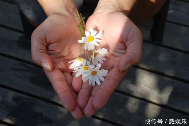 男孩手里的落叶,如一首生命之歌,孤独而平静,最后走入永恆之境