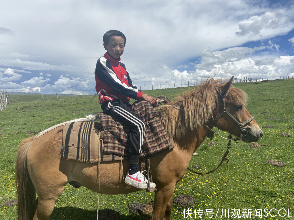 度假村 “致富花”盛放宗塔草原，偏远牧区旅游路越走越顺