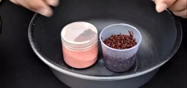 自制2种红虫伴侣,用一冬花不了10元钱,开饵效果还更好