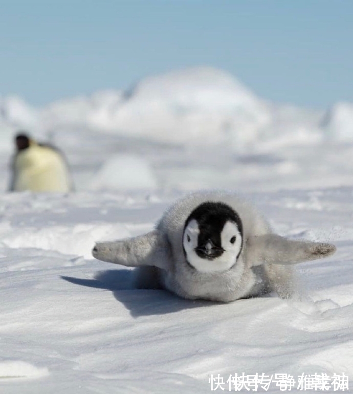 |幽默笑话:叔叔,你觉得我姑姑能生出我这么漂亮的闺女吗?