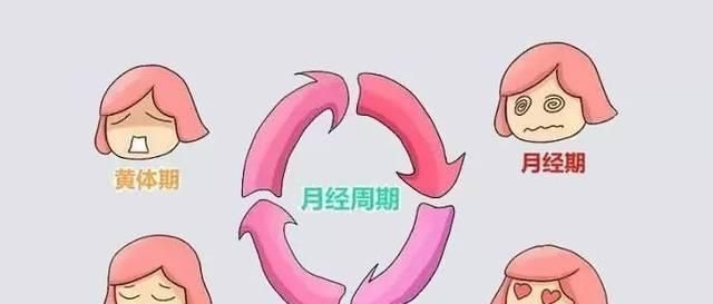 y性染色体|排卵期受孕的准妈妈，更容易生男孩儿，这时真的吗