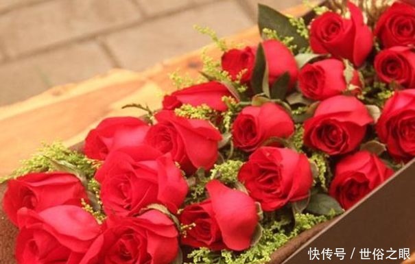 玫瑰|喜欢菊花,不如养盆“珍品玫瑰”卡罗拉,花色红艳似火,惹人喜爱