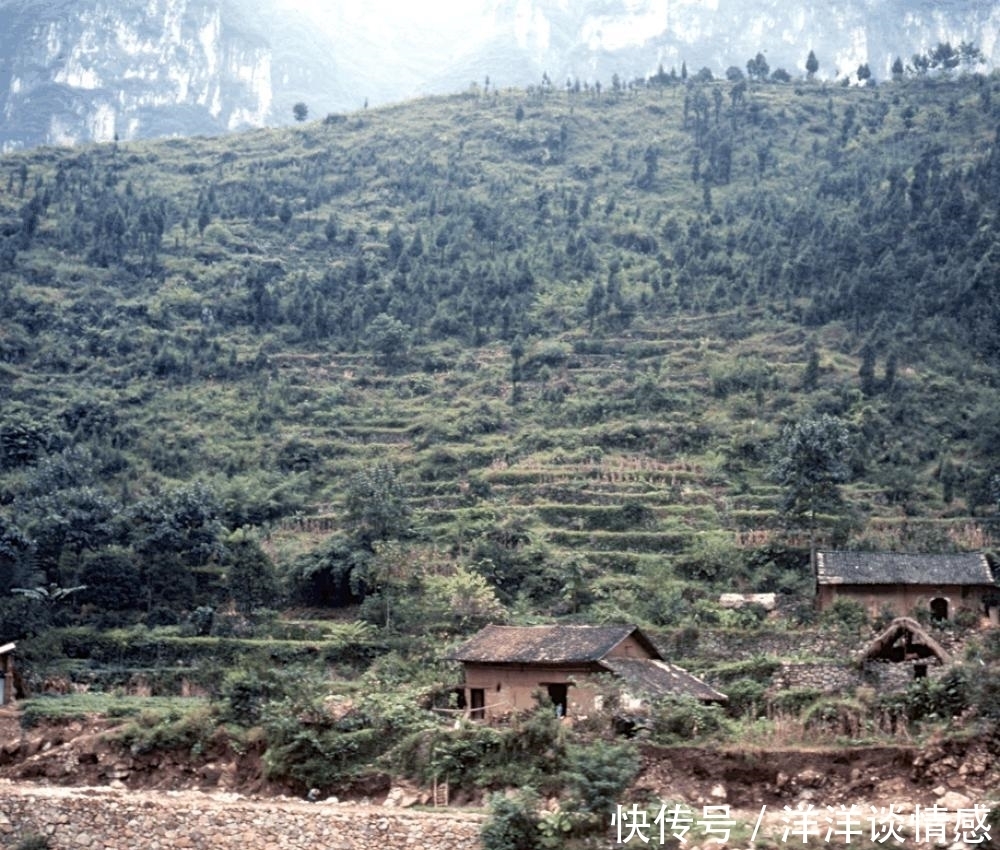 老照片: 两岸猿声啼不住, 三十年前的三峡风景