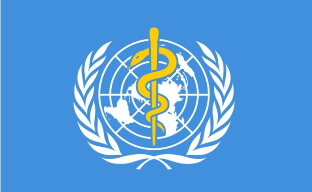 金蛇护体|“金蛇护体”!浙江健康码上新了!