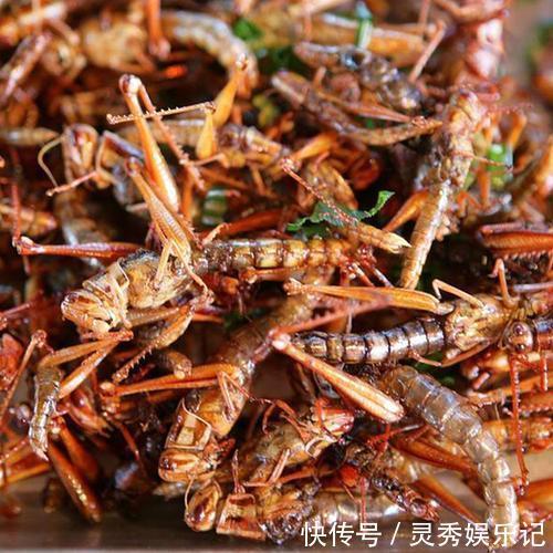 大排档|回老家,老公请同学来家吃夜宵,我做了6个下酒菜,3箱啤酒喝精光