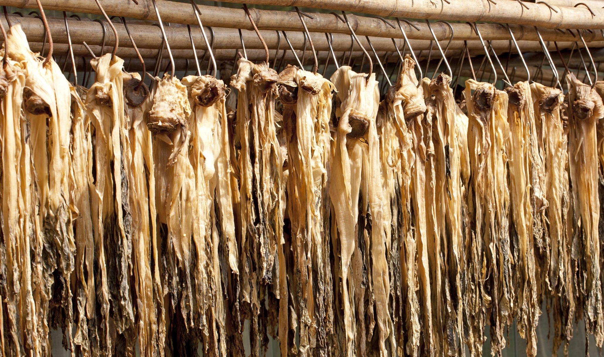 这6种蔬菜晒干后，比新鲜的还好吃，冬天炖肉吃，味道太赞了