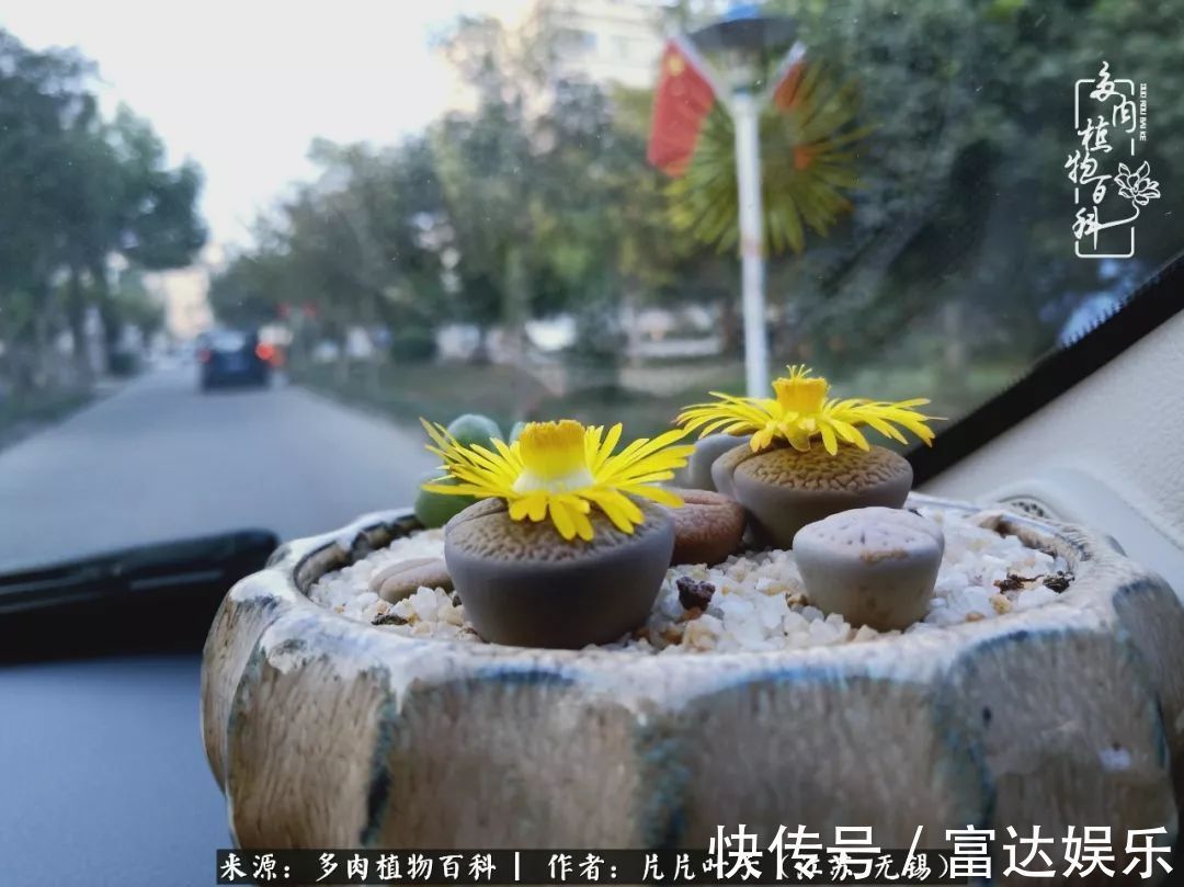 养肉路上，累并快乐着！时光不语，静待花开！