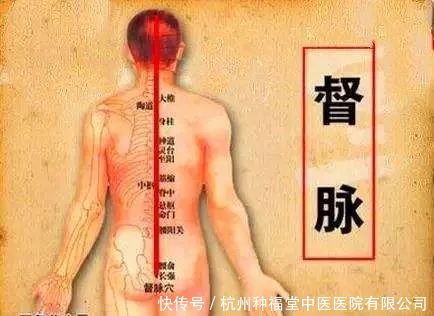 冬至|今日冬至,冬至吃饺子,你知道这个典故怎么来的吗?