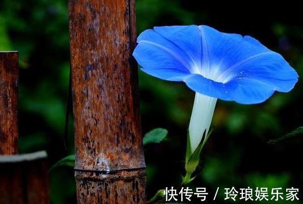 文曲之星|哪个时间出生的孩子都是“文曲之星”孝顺懂事,一生没有灾难!