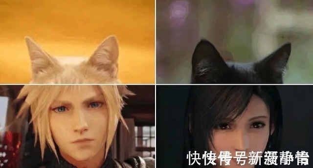 动漫人物|把动漫人物换成“猫猫头”,人物顿时显得可爱了,但布姐yyds