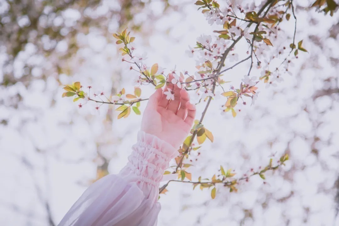 烟草#宋词之美真的被低估了!这15首绝美宋词,一生一定要读一次