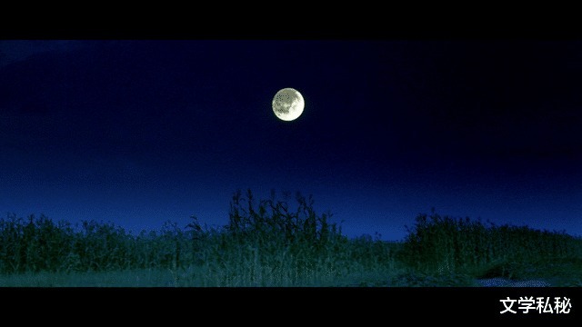 莫言小说|曾经是“莫言”的忠实粉丝,当年为寻找莫言作品而四处搜罗