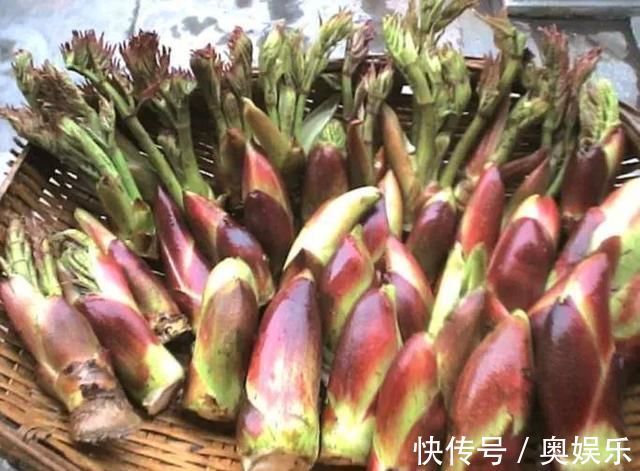 刺芽|想长寿全靠吃,3种食物不错过,补充营养,有益健康