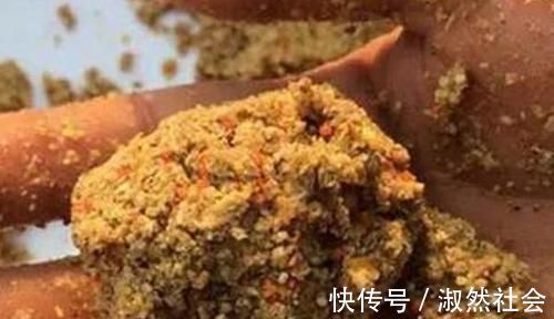冬季钓鱼的诱鱼之道,用这几种方法,能把远处的鱼群“请”进窝