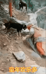 |搞笑GIF:就这样坐上去,恐怕你要换一条裤子了