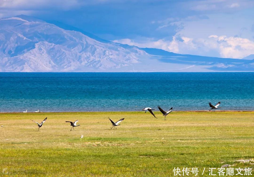 草原|这3个旅行地，今年夏天一定要去自驾一次！