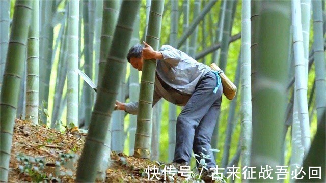 技艺|竹海飞人8岁爬竹子，年过半百仍在竹上行走，今无人传承境地尴尬