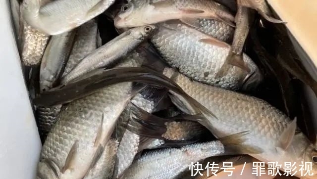 这9个地方都是鱼窝,大鱼都藏在这里,找到了就等着爆护吧!