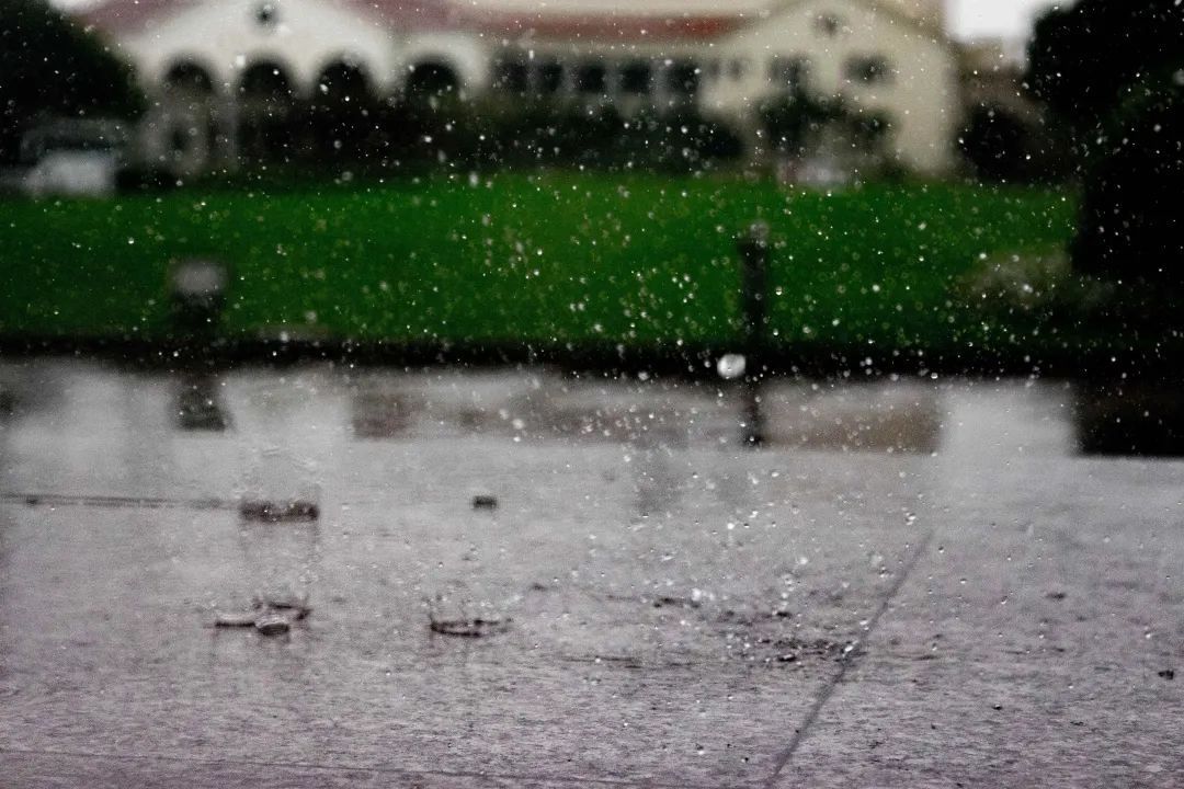 我“雨”最美校园，一起云赏沪上46所高校雨中即景