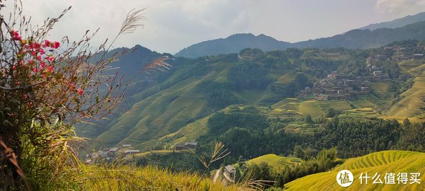 观景台|游·略 篇一：一场刚刚好的金色梯田之旅——龙脊梯田