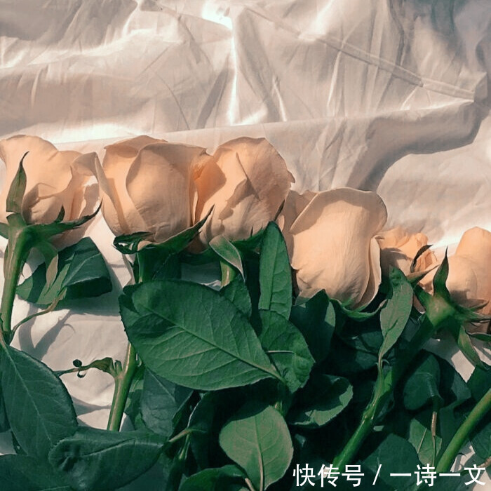 眼处|山川历遍,不及你眉眼,抬眼处四方寂静,如冬雪消融,刹那心动