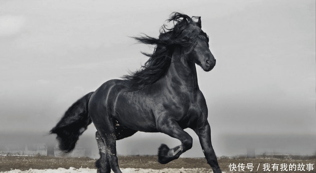 坐骑|三国时期,关羽和吕布的坐骑都很有名,可张飞的坐骑才叫霸气
