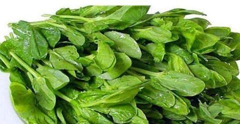 豌豆尖|女性到了中年，常吃三种食物，滋补身体，养护血管，改善血液循环