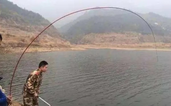 实话实说:如果你没做错3件事,再大的鱼也逃不掉