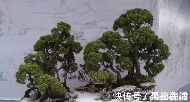 盆景|世界上又一奢侈品《盆栽》一盆就是一座房子!