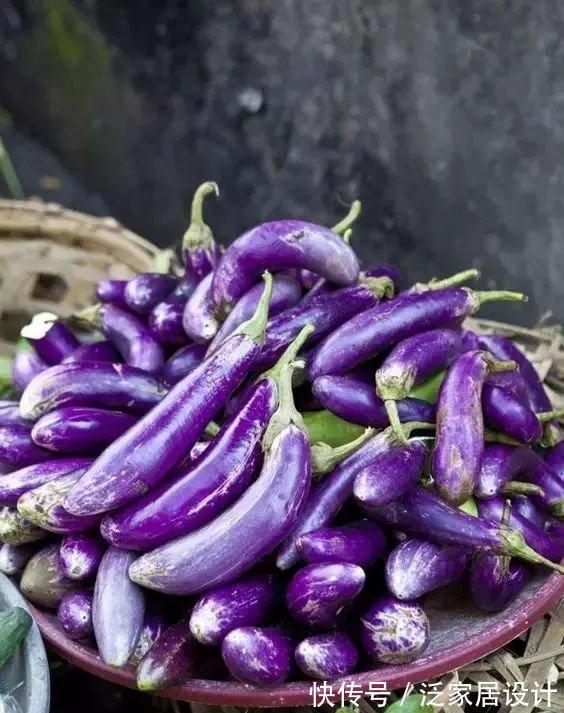 干炒法|茄子费油我教您几招，连一勺油都不用，美味到爆！