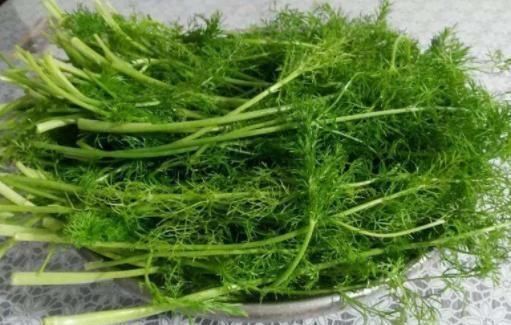 高血压患者|中老年人要多吃蔬菜,可高血压患者,注意远离几种“高钠”蔬菜