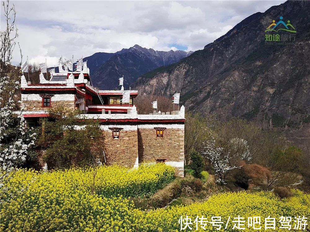 神仙包|春天第一站就去这里！醉春天之川西花海、雪山、冰湖七天之旅