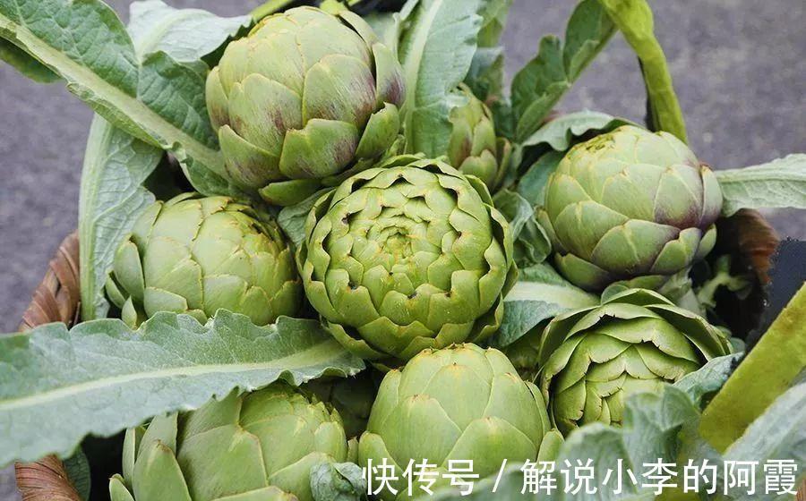 金色“大莲花”好看还好吃,“巨大神秘”的花,你肯定没见过