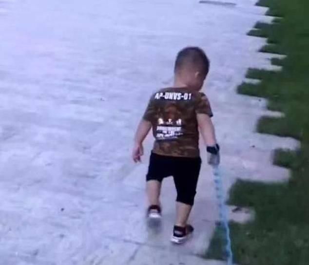 绳子|宝宝被妈妈用绳子牵着，遇到邻居牵着小狗，随后宝宝的举动太萌了