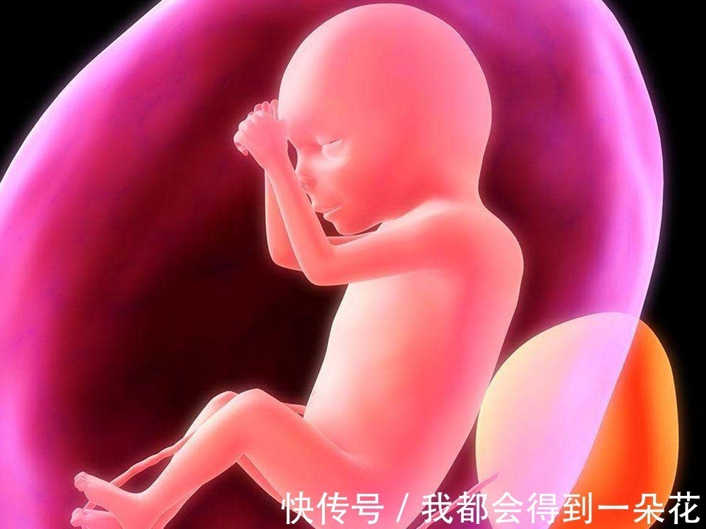 宝妈|孕晚期这三周,是胎儿的“猛长期”这两项重要检查孕妈别忘了做