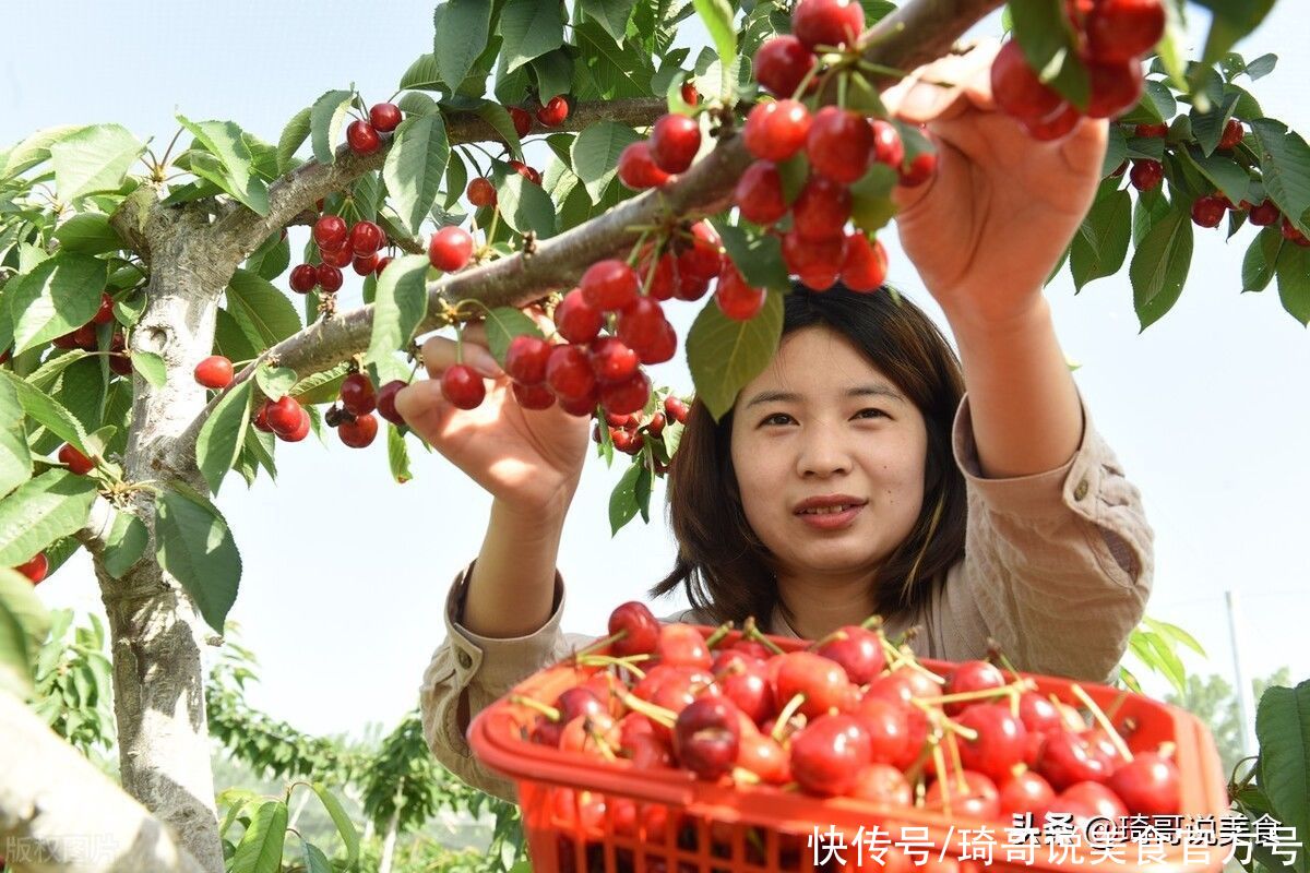 西红柿|芒种将至，老传统别丢，“3吃2忌2防”，顺应节气，家人更健康