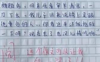 小学生检讨书走红，内含藏头诗，老师识破后气得肚子疼！