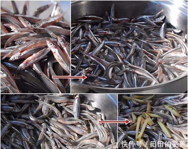 喜欢吃|这样“小鱼干”,美味特别下饭