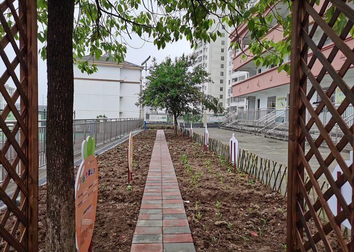 劳动教育|六安市城北第二小学举行劳动实践周启动仪式