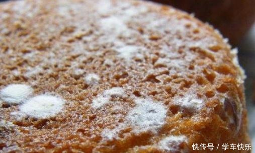 藏在卫生间里这个东西,可能滋生黄曲霉毒素,家里有最好处理!