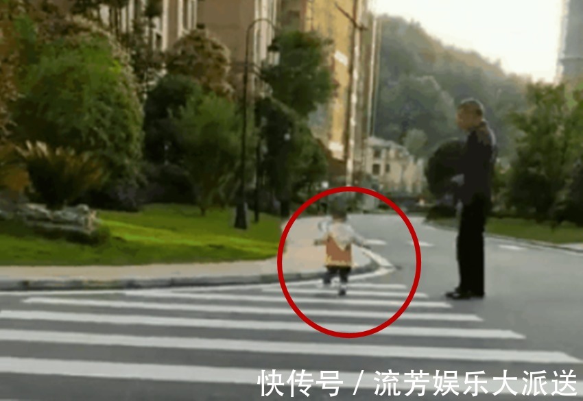 爷孙俩|孙子绊倒了,爷爷并没有立刻抱起,而是这样的一个举动引网友称赞